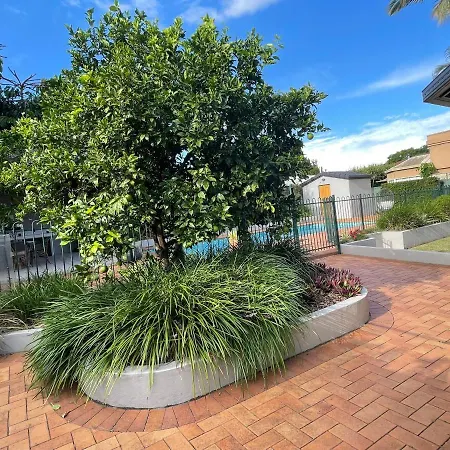 Designer's With Pool Brisbane