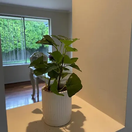 Garden Getaway - Location * Brisbane