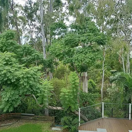 Adorable Private 2 Bedroom Guest + Pool Brisbane