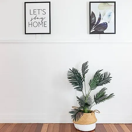 Pet Friendly Family 3km To Cbd