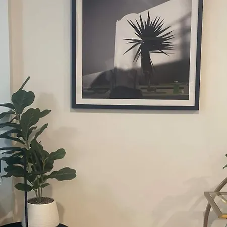 Cozy 3br Walking Distance To Goma Apartment *