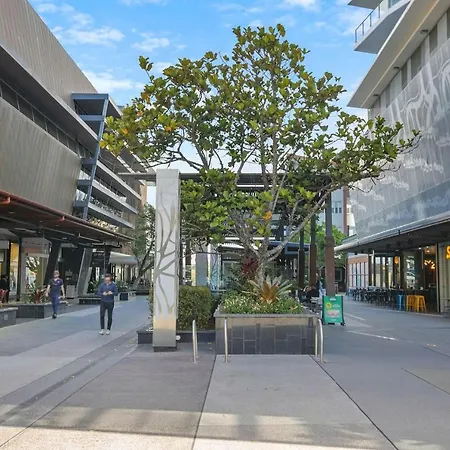 'riverfront Flow' Poolside And Portside In Hamilton * Brisbane