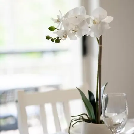 Apartment Oasis Metro Retreat 2b1b W Parking Walk To Qut *