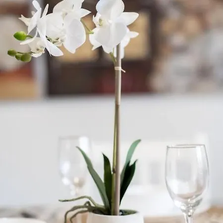 Oasis Metro Retreat 2b1b W Parking Walk To Qut * Brisbane