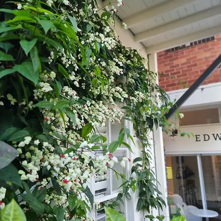 Edward New Fam Bed & Breakfast