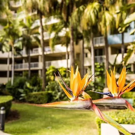 New! Ultra Relaxing 1br Poolside Oasis In Fortitude Valley Brisbane