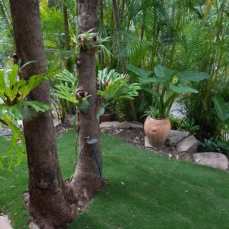 In The Gap~4 Bed House~7km From Cbd Brisbane