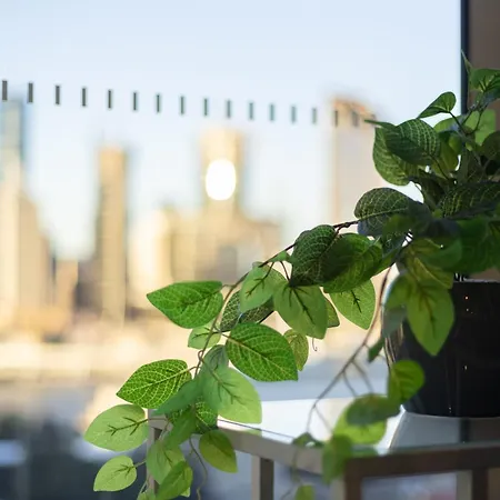Explore Bne From Our Cute 1-bed In South *