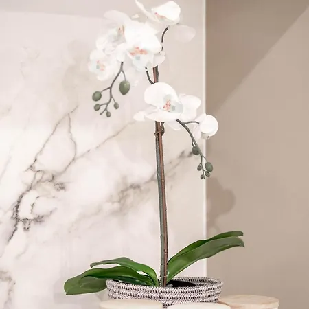 Apartment Urban Elegance 2b2b W Parking, Pool South M1 Brisbane
