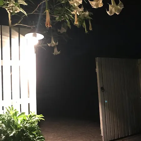 Jacaranda House Garden Apartment Brisbane