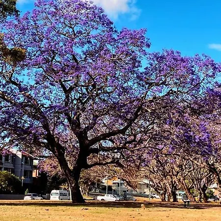 Artistic Queenslander With Park Views - 5 Bedroom - Sleep 10 Holiday home Brisbane