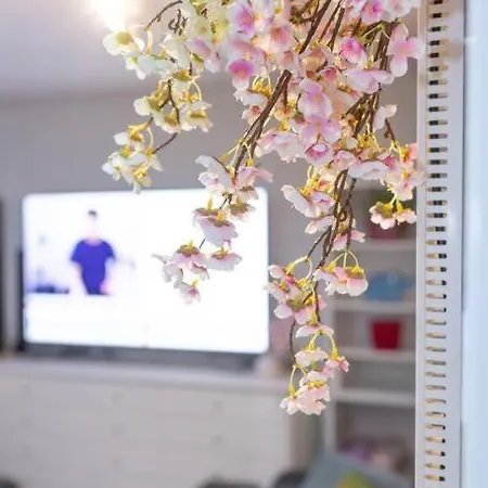 Apartment King Bedroom In Shared 3l *
