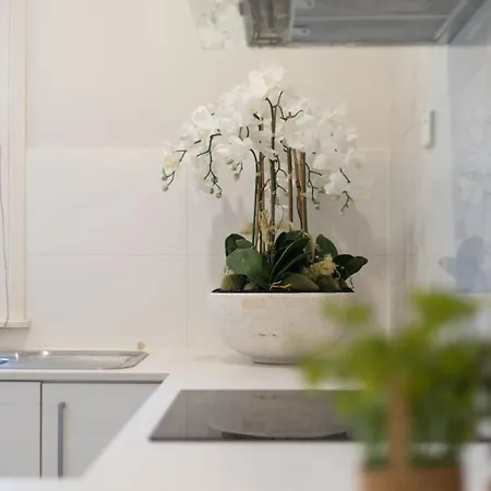 Cozy Warmly 3 Beds Sweet At Sunnybank Brisbane