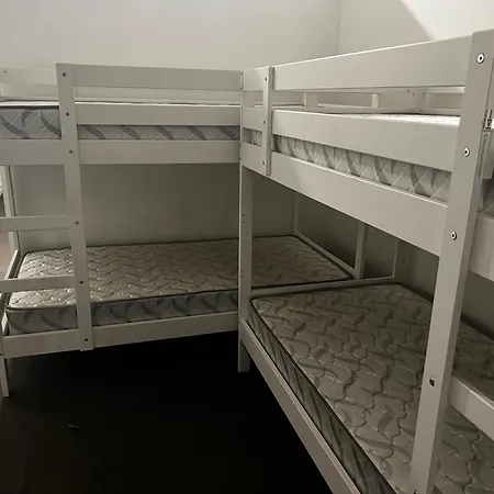 Hostel Palm Hamilton Backpacker Brisbane