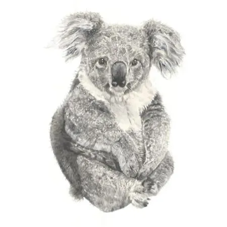 Apartment Fresh 2bd Koala West End Brisbane