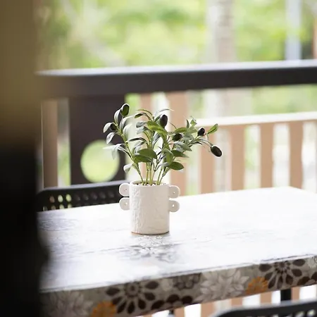 Spacious Inner-city Apartment Brisbane