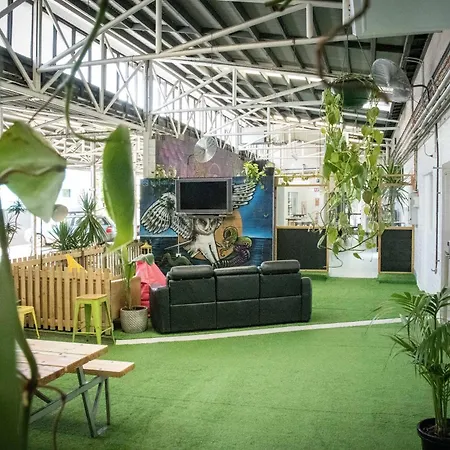 Hostel Habitat Backpackers *