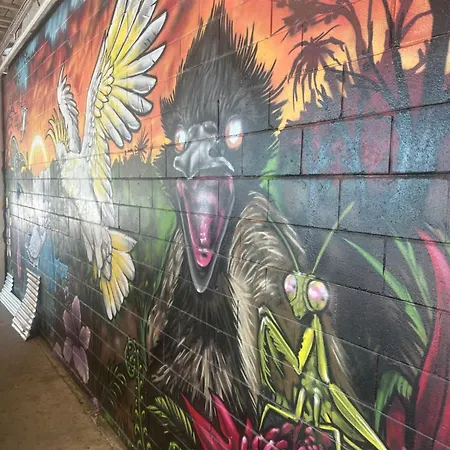 Habitat Backpackers Brisbane