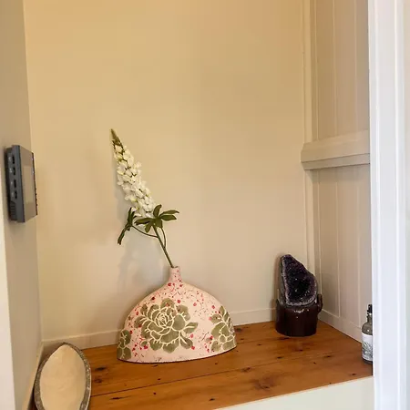 Apartment Stylish & Bright 3-bdrs Family In Holland Park West Brisbane