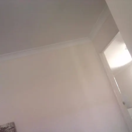 Grizzly Damo's Nft Gallery Apartment *