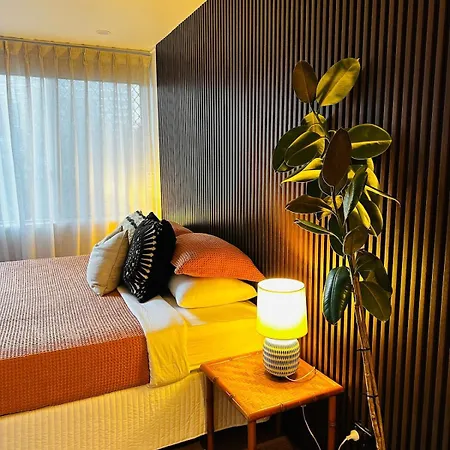 Mid Century Pad 1bed 1bath 1car 10 Mins To Cbd Apartment