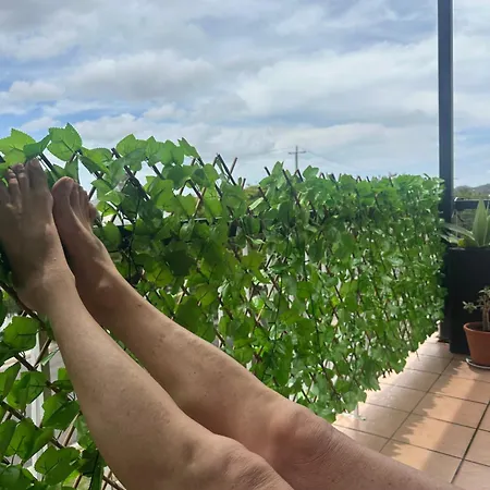 Views Guest house