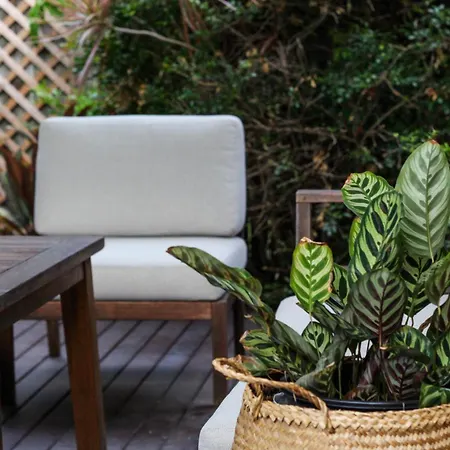 Apartment Leafy Retreat Townhouse Near Airport &