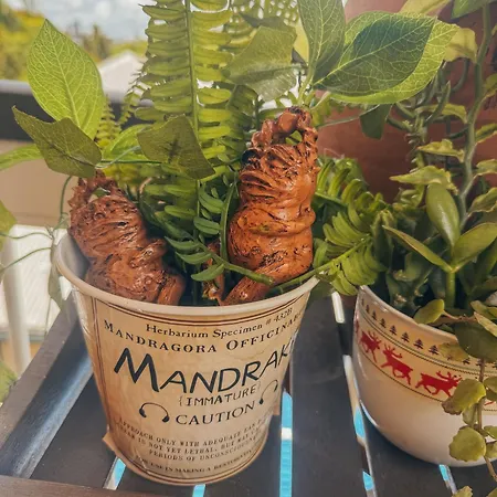 Harry Potter Themed Brisbane