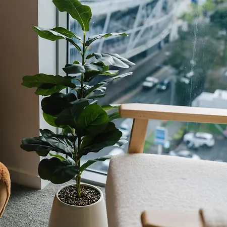 Boho Retreat - Walk To Gabba Stadium - Free Parking Brisbane