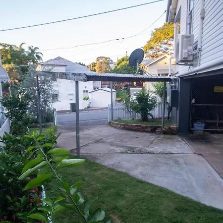 Bougainvillea Brisbane