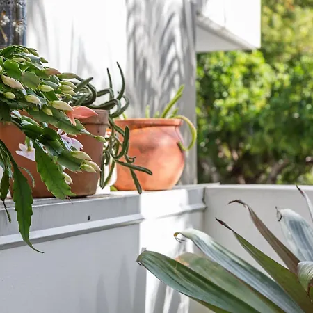 Apartment Spacious And With Huge Courtyard And Parking *