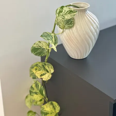 Apartment Cbd Luxury 8 Margaret St Brisbane