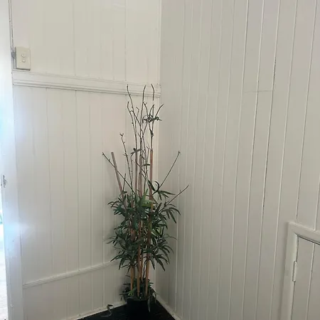 Melbourne Street, South Homestay