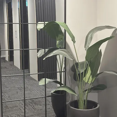 Apartment Warm Cozy Gabba Close To Pa & Cbd *