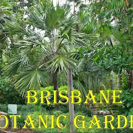 Park Avenue Luxe Chic Townhouse Sleeps 9, Carpark Villa Brisbane