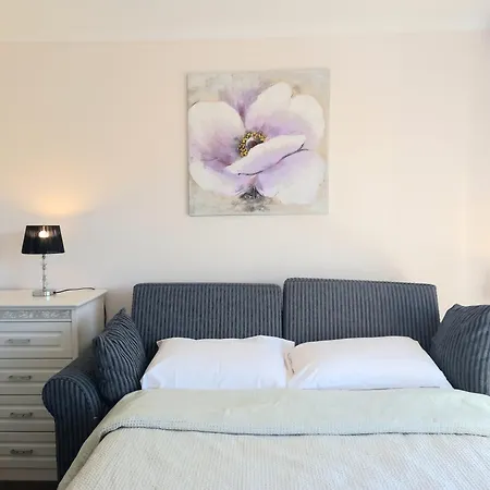 Air Conditioned Floral Youth Backpacker And House Guest house Brisbane