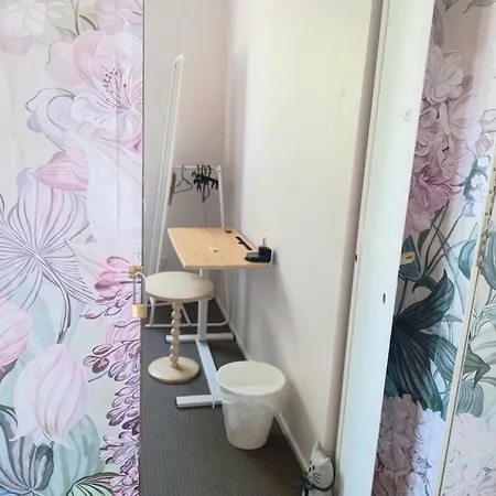 Air Conditioned Floral Youth Backpacker And House Guest house
