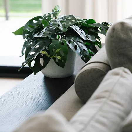 Cassa Aura Place - Modern 4br Homes Holiday home Brisbane
