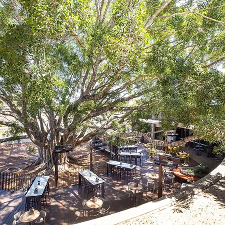Nightelier Mitchelton The Brook Hotel Brisbane