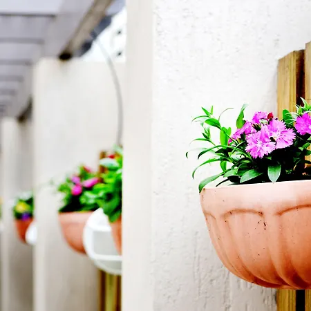 Aparthotel Spring Hill Mews