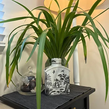 Jacaranda House Garden Apartment Brisbane