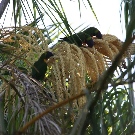 Paperbark Bed & Breakfast