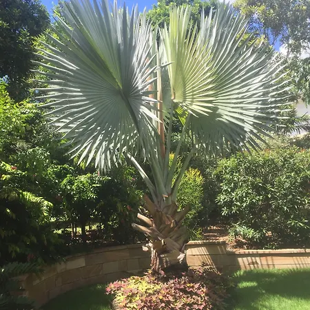 Balmoral Queenslander * Brisbane
