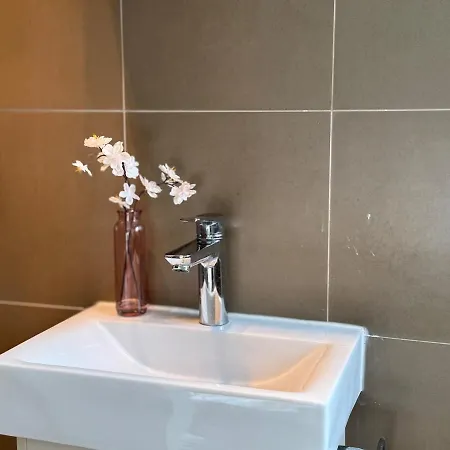 Steps From Sunnybank Hills Shopping Spacious Holiday home *