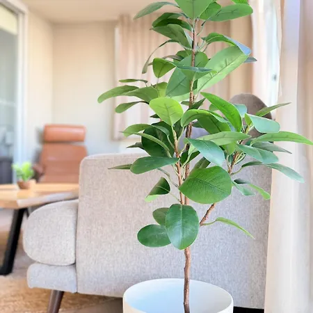 Oasis - Free Parking Gym Pool - Sleep 6 Apartment