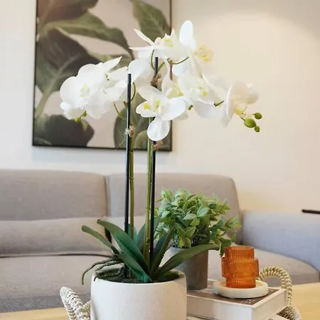 Apartment 1br Premium In Qwr - Level 22 Privately Managed *