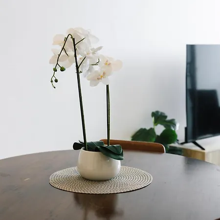 Escape House At Cultural Centre Precinct Apartment