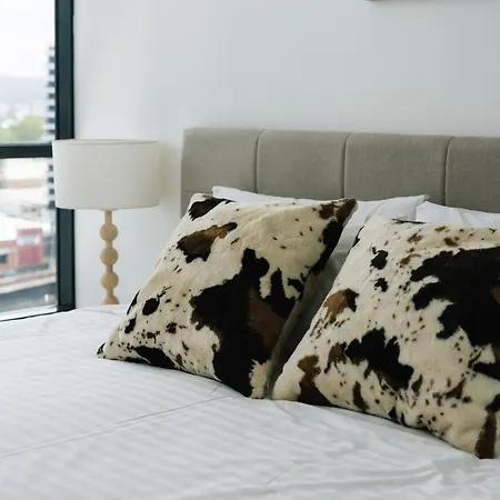 Apartment Southbank King And Sofa Bed With Free Parking Brisbane