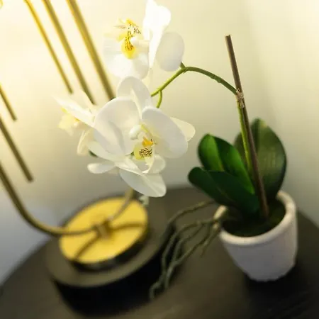 Stylish Skytower Cbd Getaway - Skyline Pool, Gym, Fast Wi-fi, River Walk, Botanical Gardens