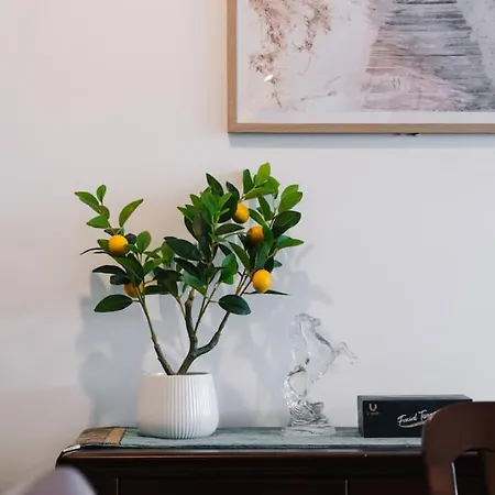 Modern 3br Near Uq, St Lucia * Brisbane